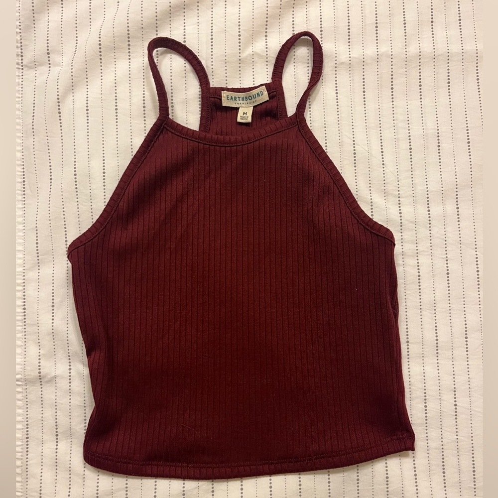 Earthbound Rust Ribbed Halter Cropped Tank